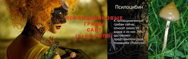 хмурый Вязьма