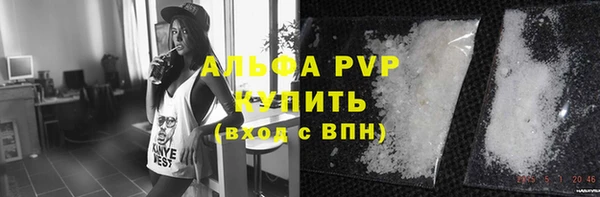 прущие грибы Вяземский