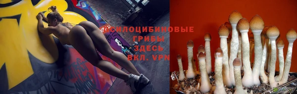 хмурый Вязьма
