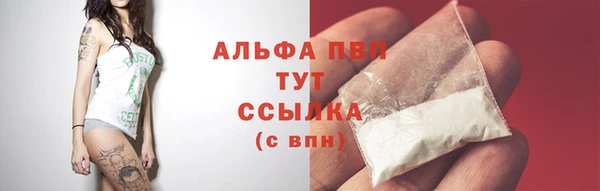 хмурый Вязьма