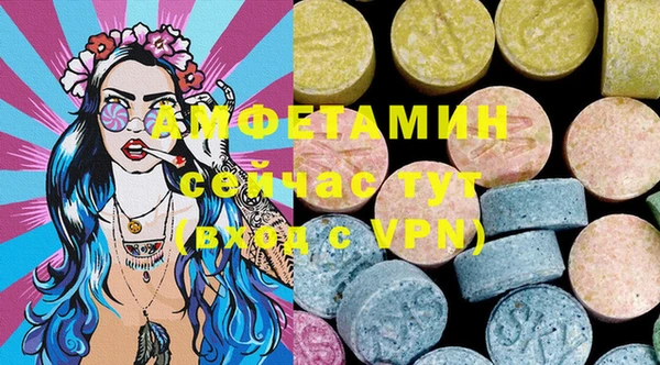 прущие грибы Вяземский