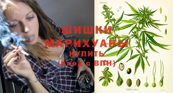 прущие грибы Вяземский