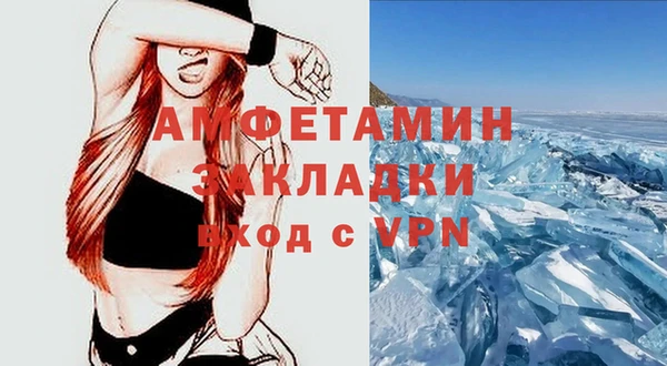 прущие грибы Вяземский