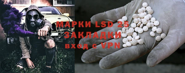 прущие грибы Вяземский