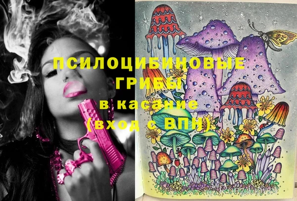 прущие грибы Вяземский