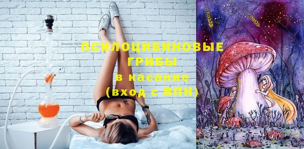 хмурый Вязьма
