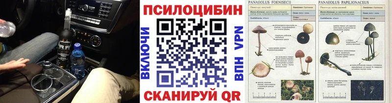 Галлюциногенные грибы Psilocybe Исилькуль